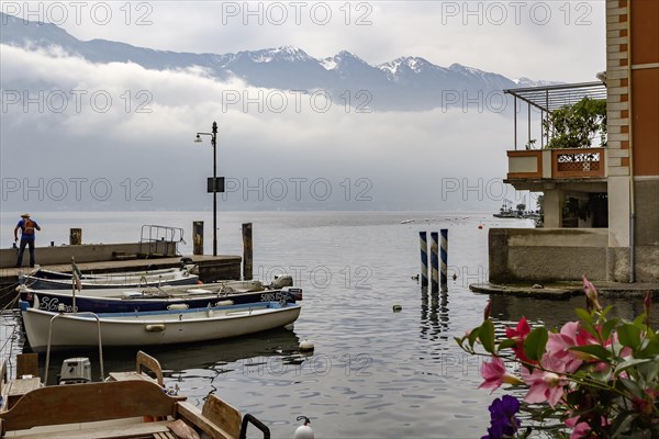 At the old harbour of Limone sul Garda, Lake Garda, Province of Brescia, Lombardy, Northern Italy, Italy, Europe