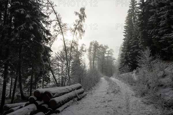 Winter landscape, forest, snow, fog, sun, Radenthein, Carinthia