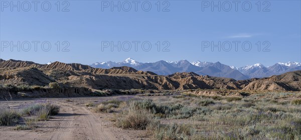 Off-road road in a canyon, mountains of the Tian Shan in the background, eroded hilly landscape, badlands, Valley of the Forgotten Rivers, near Bokonbayevo, Yssykkoel, Kyrgyzstan, Asia