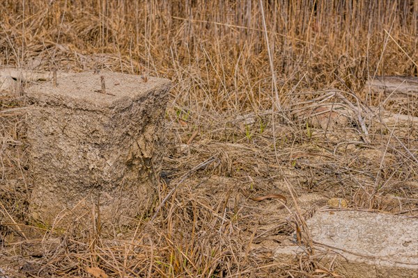 Concrete column of and building foundation blocks in tall grass of dried riverbed
