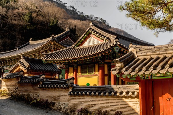 Buildings behind mud brick wall at Buddhist temple