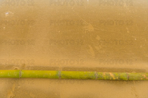 Solitary bamboo pole laying on windswept beach with streaks of sand being blown across the ground