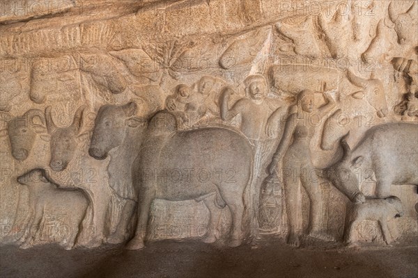Bas-relief, detail, UNESCO World Heritage Site, Mahabalipuram or Mamallapuram, Tamil Nadu, India, Asia