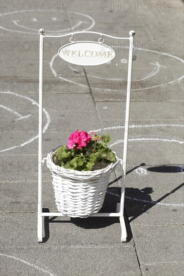 White flower pot with flowers and frame with the inscription Welcome standing on the street, Germany, Europe