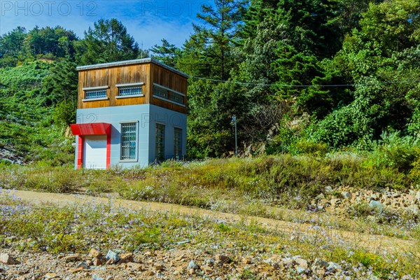 Square house with red awning over garage door in wooded area surrounded by green trees and flowers