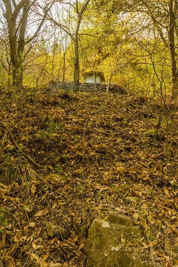 Small storage shed behind stone wall on top of steep hillside in wooded countryside