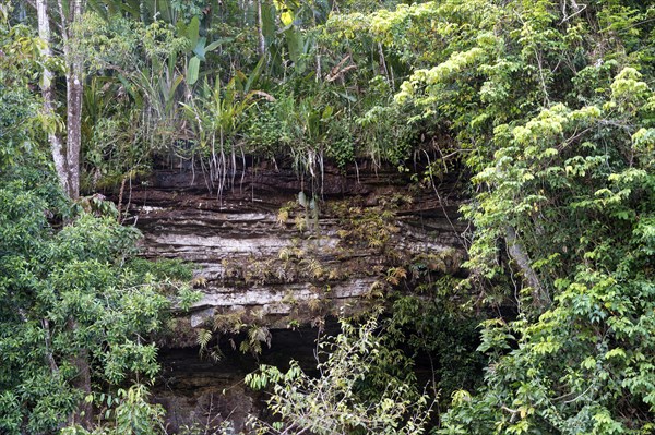 Rock formation along the Trombetas river, Para state, Brazil, South America