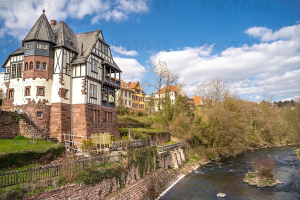 Historic building by a river with trees under a cloudy sky, Dillweisenstein vicarage, Pforzheim, Germany, Europe