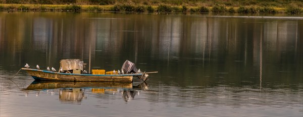 Several seagulls perched on a small boat with outboard motor in middle of inland bay