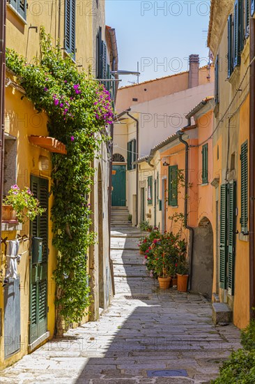 Narrow cobbled alley between houses with pastel-coloured facades, Sant'Ilario in Campo, Elba, Tuscan Archipelago, Tuscany, Italy, Europe