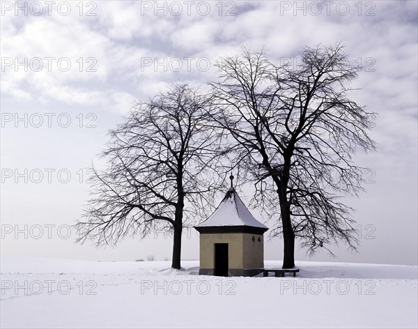 Small chapel in the Franconian Forest in winter, between two trees in a snowy landscape, district of Kronach, Upper Franconia, Bavaria, Germany, Europe