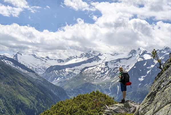 Mountaineer on hiking trail, Berliner Hoehenweg, mountain panorama with summit Grosser Moeseler and Turnerkamp, Zillertal Alps, Tyrol, Austria, Europe