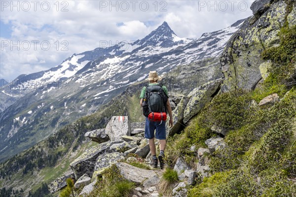 Mountaineer on rocky hiking trail, Berliner Hoehenweg, mountain panorama with summit Schrammacher, Zillertal Alps, Tyrol, Austria, Europe