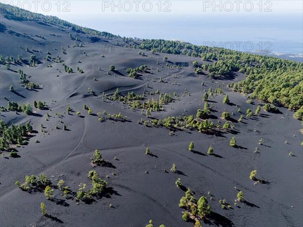 Aerial view of the lava sand areas Montana de Enrique and Quemada, Tacande de Arriba, La Palma, Canary Islands, Spain, Europe