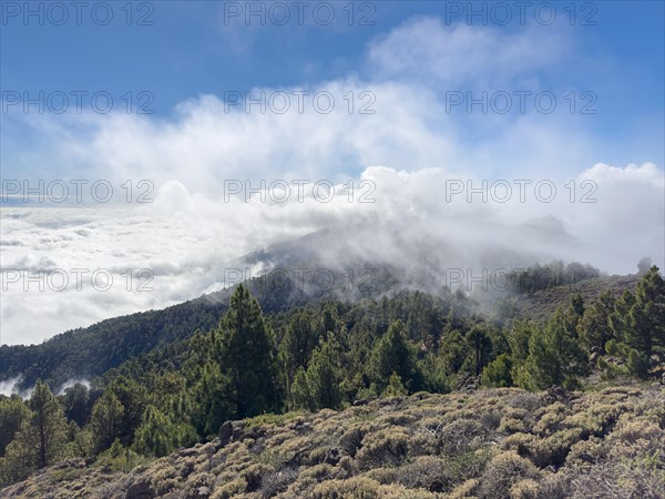 Barranco de la Piedra Majorera, Caldera de Taburiente, La Palma, Canary Islands, Spain, Europe