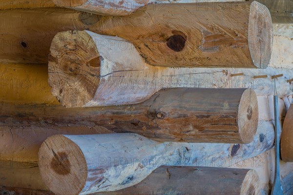 Exterior corner of log cabin with details of joints and mud holding structure together