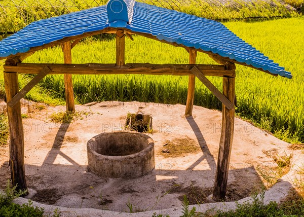 Concrete irrigation well under structure with blue metal roof at edge of rice paddy in rural community