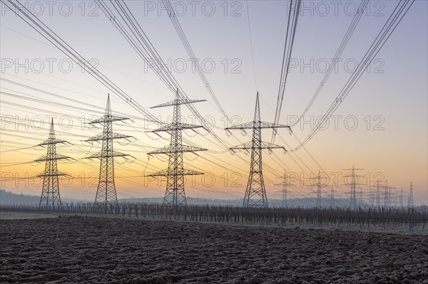 Power pylons, overhead lines, energy supply, in front of sunrise, twilight, vineyard, field, Baden-Wuerttemberg, Germany, Europe