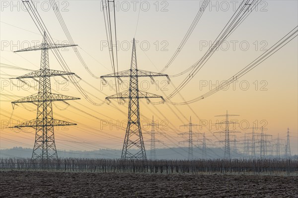 Power pylons, overhead lines, energy supply, in front of sunrise, twilight, vineyard, field, Baden-Wuerttemberg, Germany, Europe