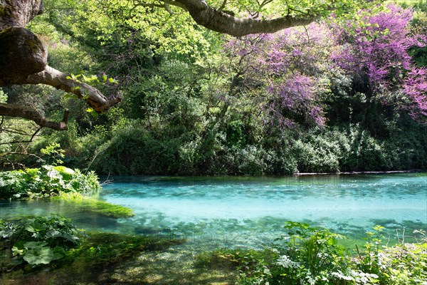 Mountain lake Syri i Kalter, karst spring, underground terrain or so-called karst cave in carbonate rock formed by weathering, called the blue eye, Krongj, Albania, Europe