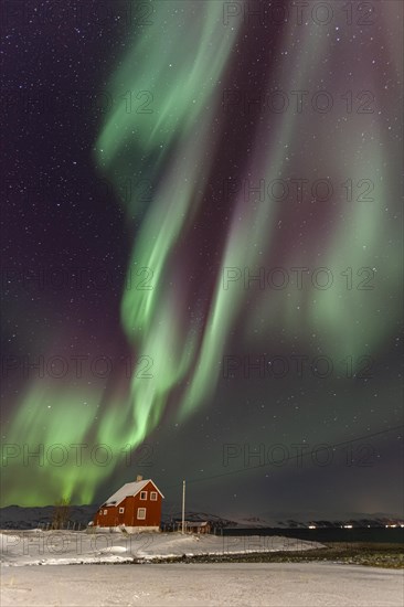 Northern lights over a red house by the sea, aurora borealis, snow, winter, Kvalsund, Repparfjord, Finnmark, Norway, Europe