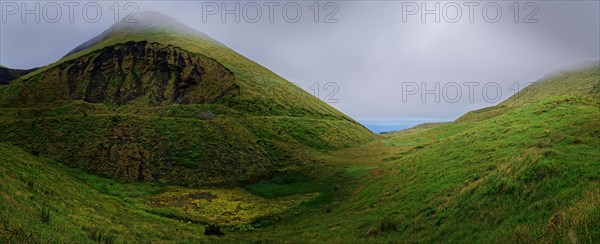 Green overgrown volcanic landscape and cones in the fog, Estradas dos Lagoas, Madalena, Pico, Azores, Portugal, Europe