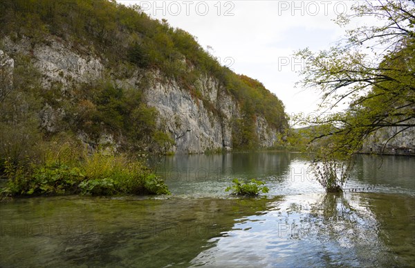 Plitvice Lakes National Park, protected forest area, Croatia, Europe