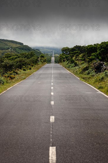 A long straight road leads through the green highlands of Pico Island in foggy weather, Highlands, Pico Island, Azores, Portugal, Europe