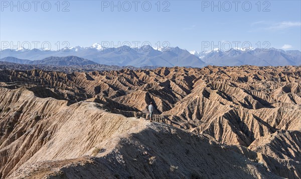 Hiker stands in front of canyons and eroded hills, Badlands, Valley of the Forgotten Rivers, near Bokonbayevo, Yssykkoel, Kyrgyzstan, Asia