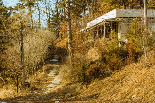 Old abandoned white building next to a disused piece of road surrounded by bushes, trees and old electrical poles on a sunny afternoon