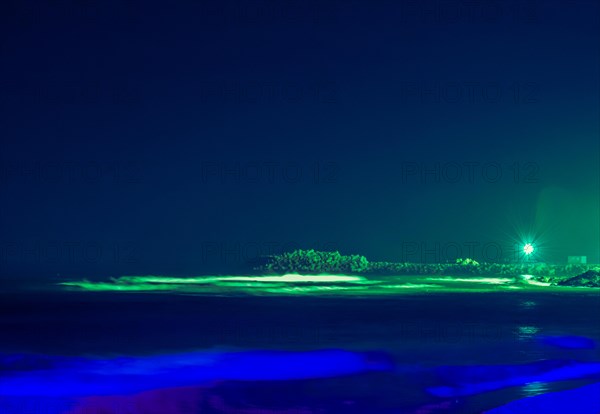 Night scene of ocean pier with single street light taken with long shutter speed creating blue color cast of nearby waves