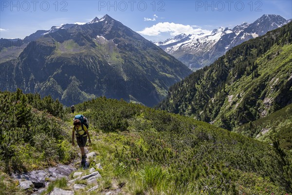 Mountaineer on hiking trail, Berliner Hoehenweg, summit Grosser Ingent and Grosser Greiner, Zillertal Alps, Tyrol, Austria, Europe