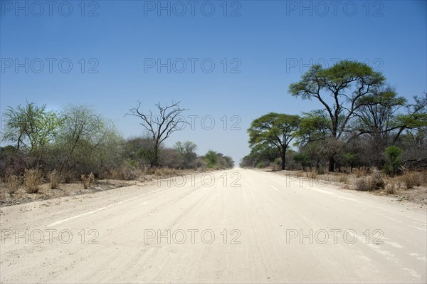 The C44 near Tsumke, road, highway, path, centre, nobody, lonely, road trip, landscape, journey, car, adventure, sandy track, distance, Namibia, Africa