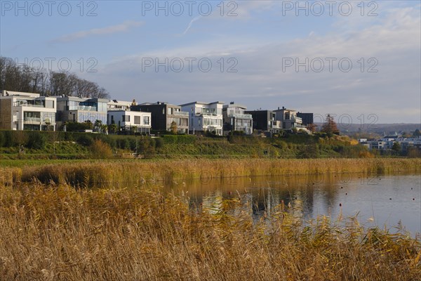 Housing estate with newly built detached houses on Lake Phoenix, Hoerde, Dortmund, Ruhr area, Westphalia, North Rhine-Westphalia, Germany, Europe