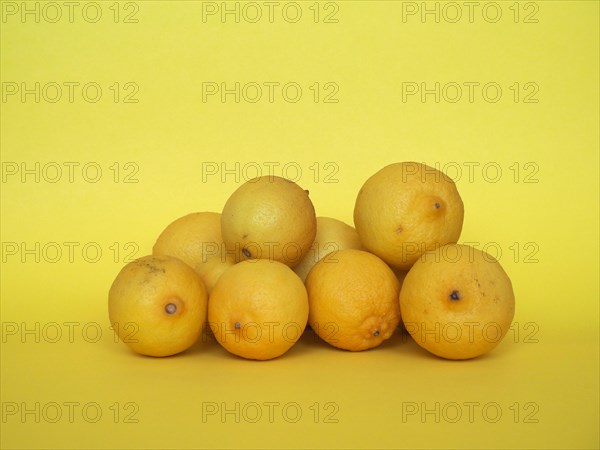 Lemon fruits over yellow background