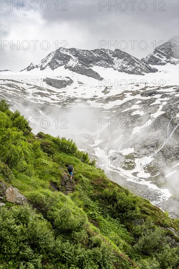 Mountaineers on a hiking trail, in the background glaciated peak Dosso Largo and glacier Schlegeiskees, cloudy atmospheric mountain landscape, ascent to Furtschaglhaus, Berliner Hoehenweg, Zillertal, Tyrol, Austria, Europe