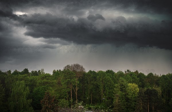 Threatening clouds hang over a green forest, as if a storm is approaching, Wuppertal Vohwinkel, North Rhine-Westphalia, Germany, Europe