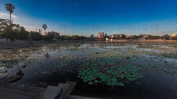 Tranquil lotus pond with water lilies at dusk called Srah Chhouk or Lotus Pond in the middle of Kampot town in Cambodia