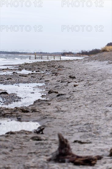 Deserted stretch of beach with puddles of water, washed over beach, Western Pomerania Lagoon National Park, Zingst, Mecklenburg-Western Pomerania, Germany, Europe