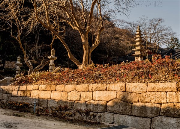 Autumn landscape of stone carved nine story pagoda at Buddhist temple