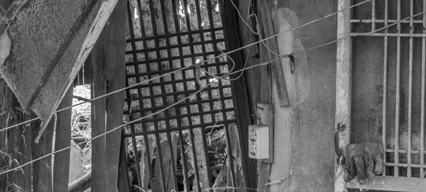 Black and white of interior of abandoned shack with wood lattice windows and an old electrical outlet attached to a piece of wood