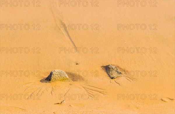 Two rocks buried in sand with traces of water runoff in the sand