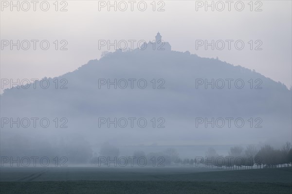 Wachsenburg Fortress in the morning mist, Thuringia, Germany, Europe