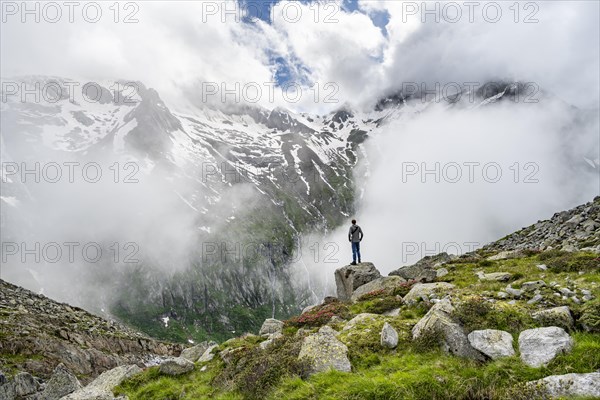 Mountaineer standing on a rock, cloudy mountain landscape with blooming alpine roses, view of rocky and glaciated mountains with summit Hochsteller, Furtschaglhaus, Berliner Hoehenweg, Zillertal, Tyrol, Austria, Europe