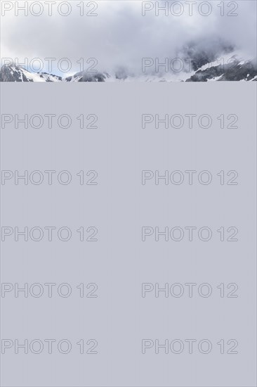 Mountaineer jumping from one rock to the next, cloudy mountain landscape with blooming alpine roses, view of rocky and glaciated mountains, Furtschaglhaus, Berliner Hoehenweg, Zillertal, Tyrol, Austria, Europe