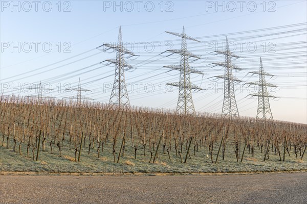 Power pylons, power lines, overhead lines, vineyard, Baden-Wuerttemberg, Germany, Europe