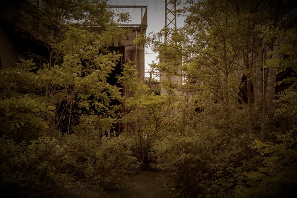 Dilapidated structure surrounded by dense vegetation, mysterious atmosphere, former Rethel railway junction, lost place, Flingern, Duesseldorf, North Rhine-Westphalia, Germany, Europe