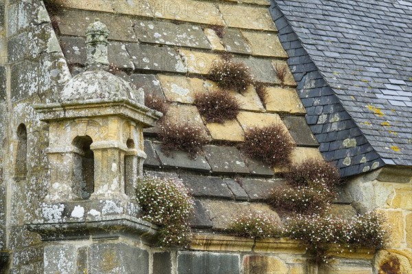 Flower-covered roof of the Saint-Sauveur church on the Riviere du Faou on the Rade de Brest, Le Faou, Finistere department, Brittany region, France, Europe