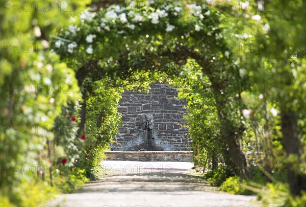 Gargoyle bear at the end of a pleasure walk, Sofiero Palace & Gardens, Helsingborg, Skane laen, Sweden, Europe