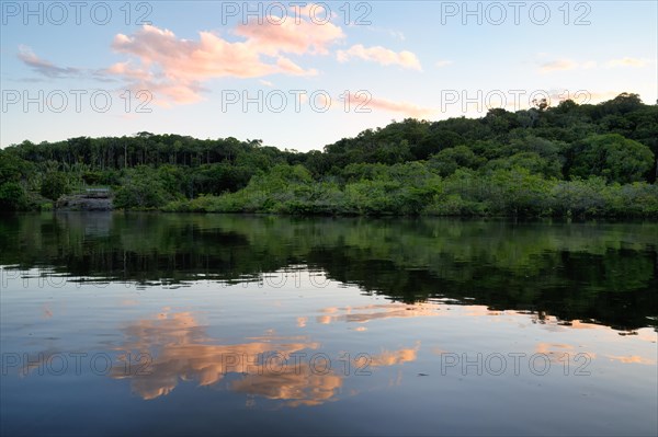 Sunset on the Amana River an Amazon tributary, Amazonas state, Brazil, South America